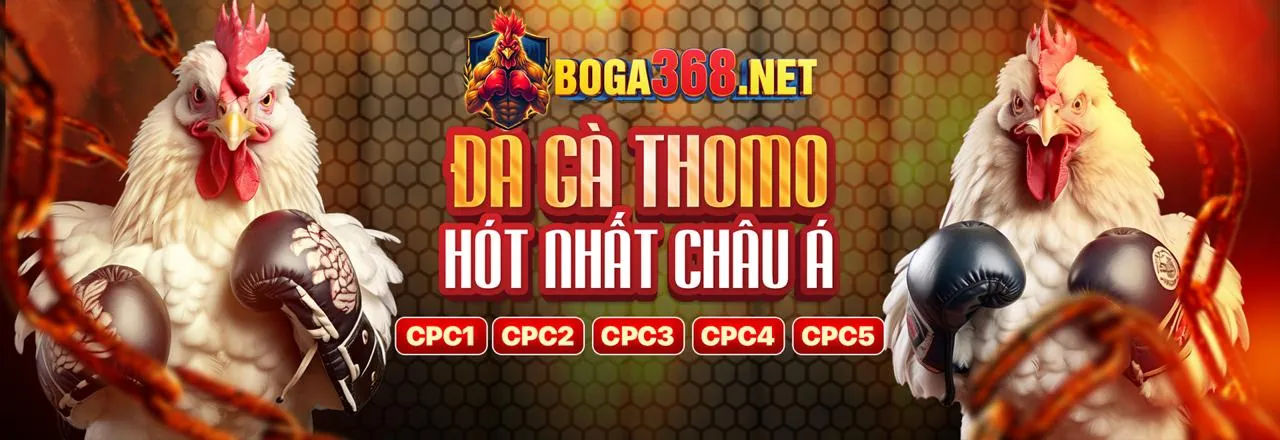 Hình ảnh tổng quan tài nguyên casinos online tại Việt Nam